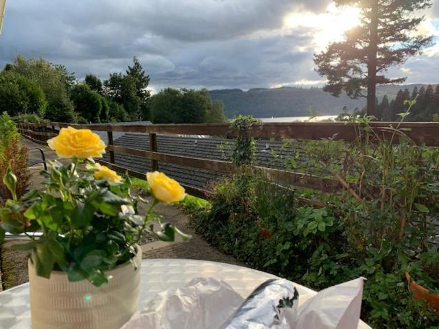 Appartement The Lady Of The Lake Windermere Extérieur photo